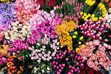 《刺客信条：影》官方实机解析视频 战斗潜行系统革新