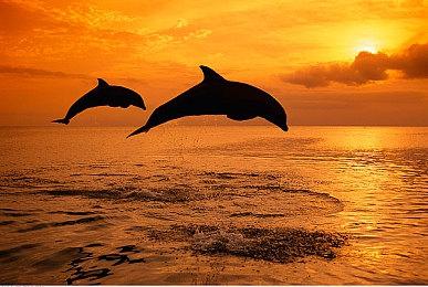 《GTA6》预告浏览量超6000万 6代和5代画面对比